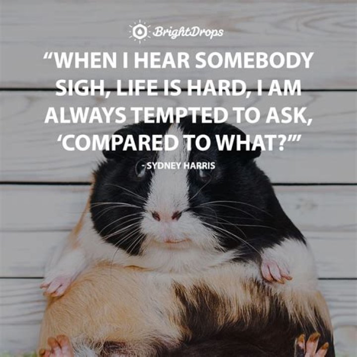 142 Funny (And Relatable) Inspirational Quotes to Celebrate Life