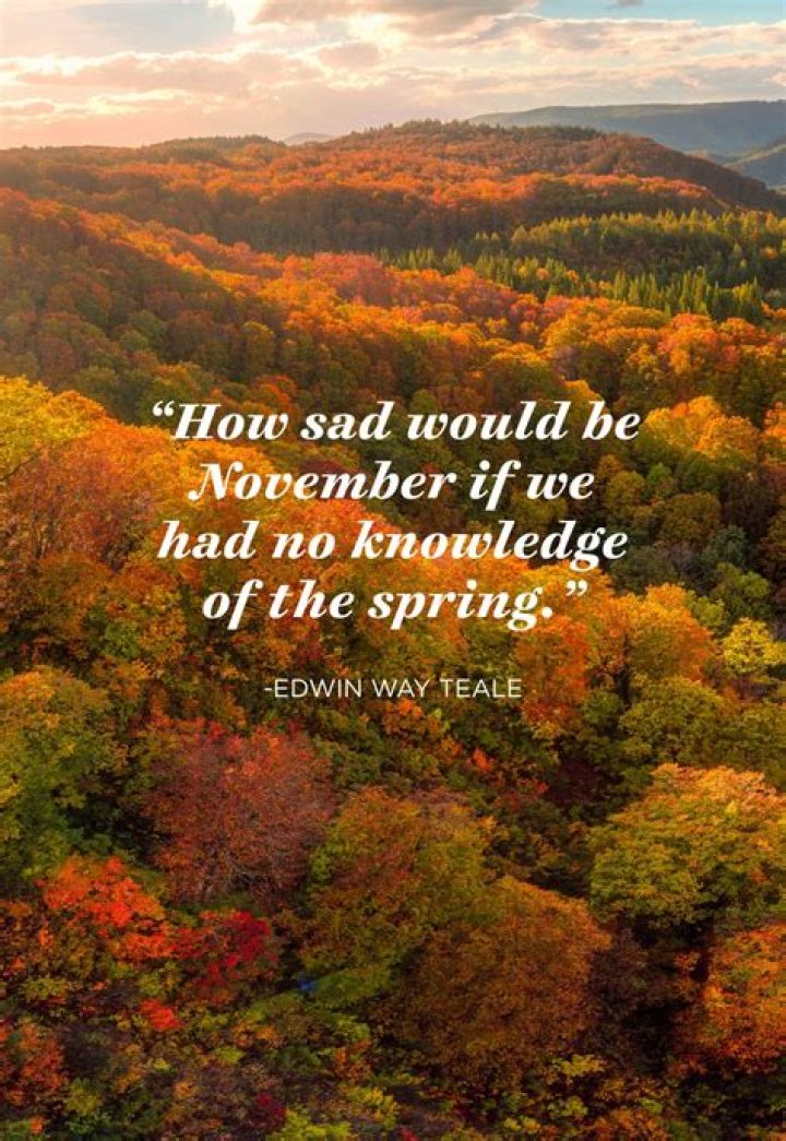 24 November Quotes That Will Make You Thankful for Fall November