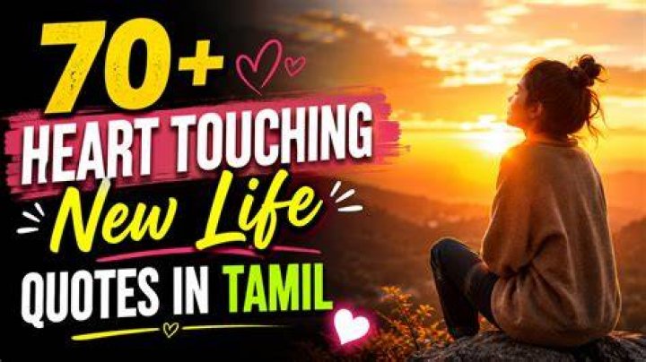 70 Heart Touching I am Sorry Quotes & Captions The Bright Quotes