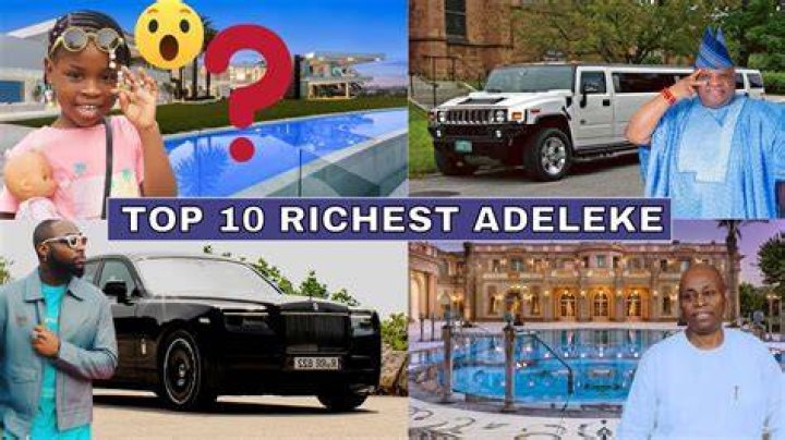 Adeleke Net Worth 2024 Roxy Wendye