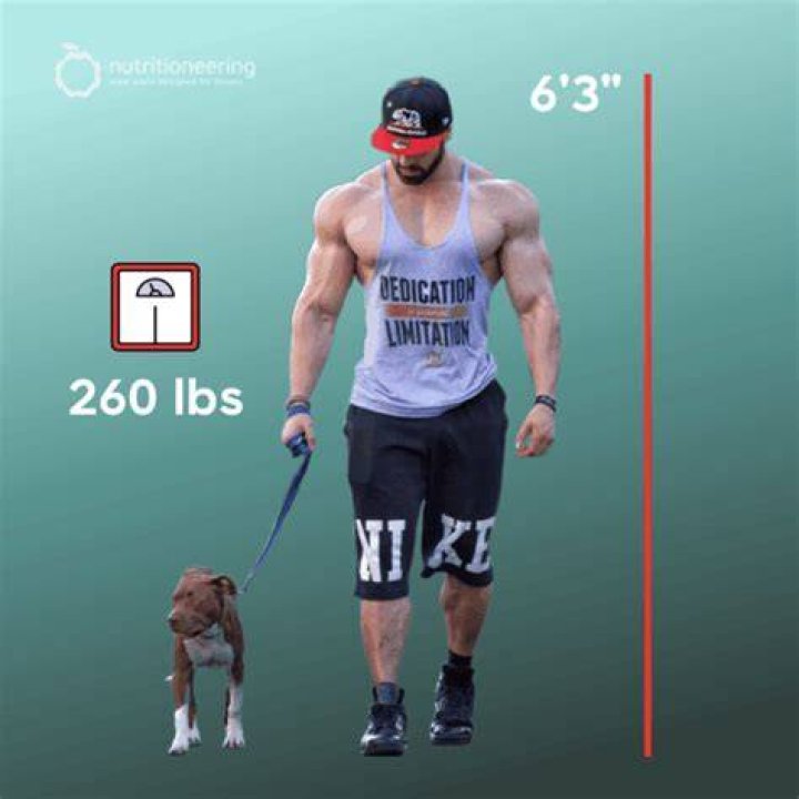 Bradley Martyn Age Height Weight Images Bio