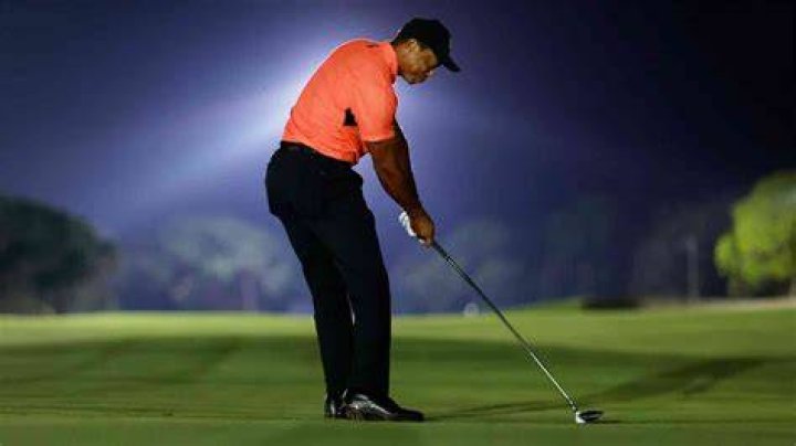Golf Tiger Woods' girlfriend Erica Herman, exwife Elin Nordegren get