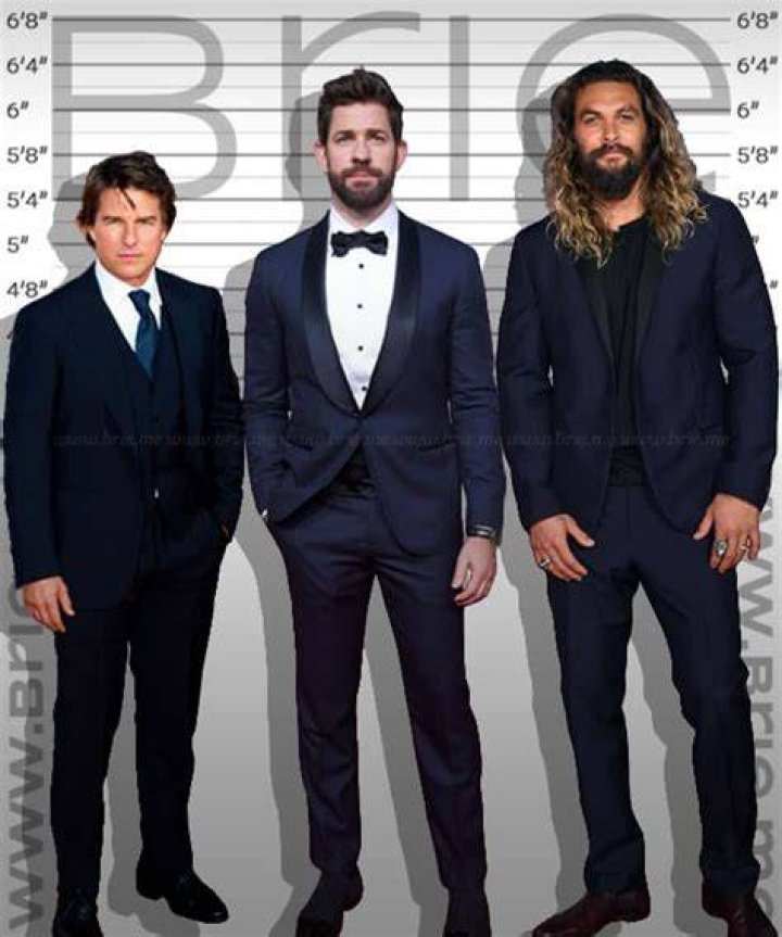 John Krasinski Height Brie