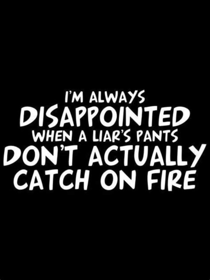 Liars Quotes Sarcastic. QuotesGram