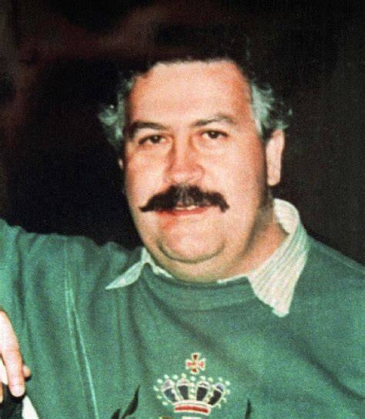 Pablo Escobar's Hidden Cash and Peak Net Worth Net Worth Club 2024