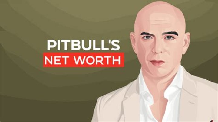 Pitbull Net Worth A Comprehensive Breakdown of the Rapper's Fortune in