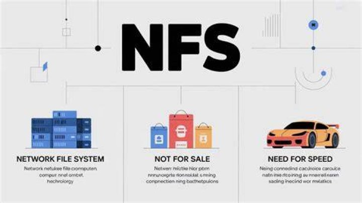 What does NFS mean on Wizz Reality Paper