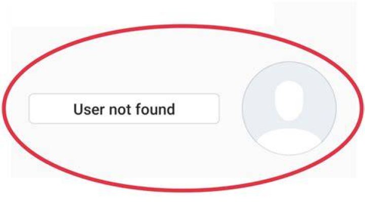 What Does User Not Found Instagram Error Mean? [Explained 2022]